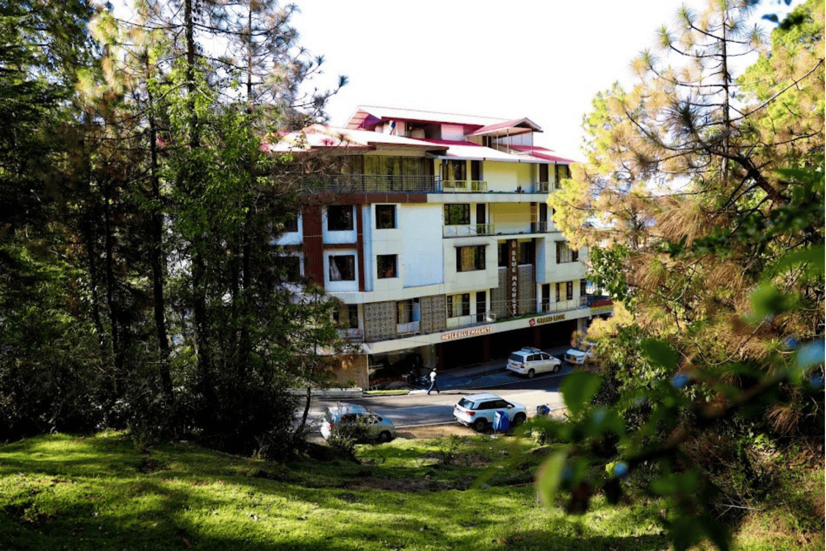 wake up to mountain views: hotels in banikhet with the best morning scenes