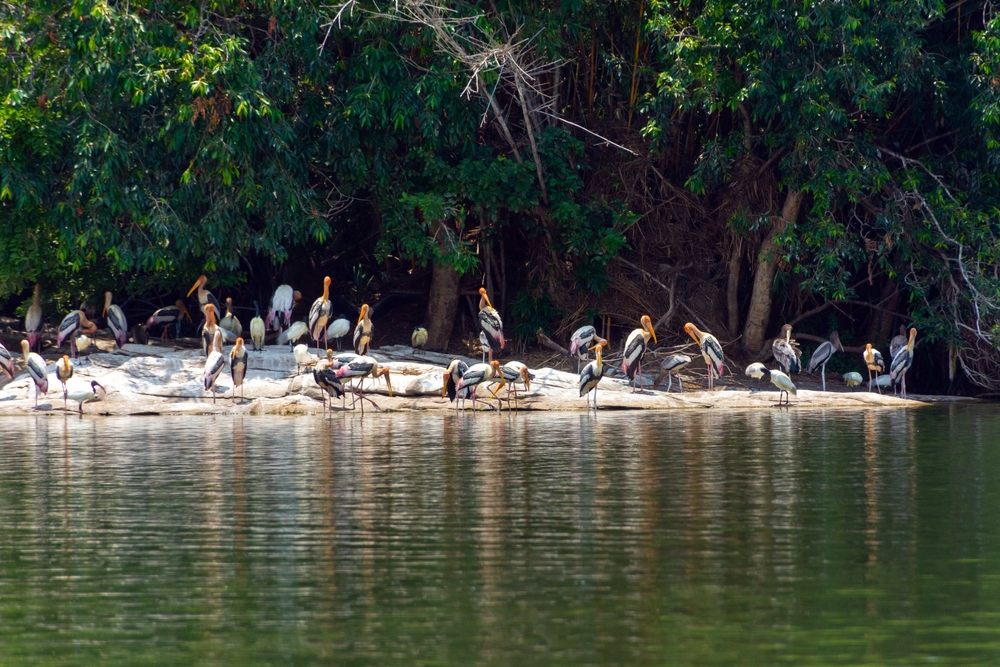 hotels near okhla bird sanctuary, noida